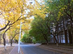 -吉林大学(南岭校区)