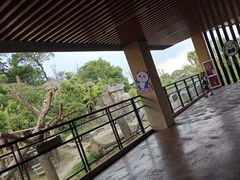 -宁波野生动物园