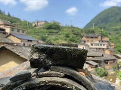 -杨家堂村