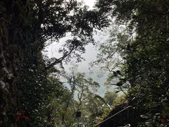 -七仙岭温泉国家森林公园