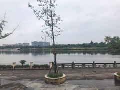 -眉山湿地公园(东坡区)