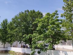 -向外鱼乐·土菜·虹鳟鱼