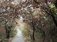 -杭州半山国家森林公园