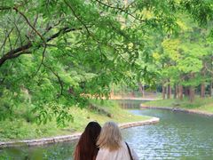 -上海共青森林公园