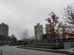 -上海诚本律师事务所·刑事辩护团队