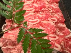 -盡膳口福跷脚牛肉火锅(晶耀前滩店)