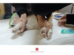 -中农大我爱我爱24h动物医院·中医针灸·猫专科·骨科医疗中心(双井店)