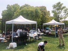 -上海海湾国家森林公园