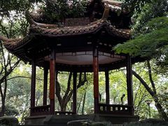 -临平公园(临平街道)