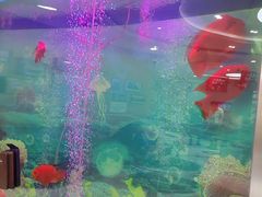 -雅悦齿科(顾村公园店)