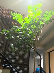 -香秀空间科技抗衰·美容中心