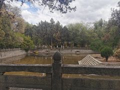 -罗布林卡