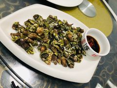 -梅子大排档