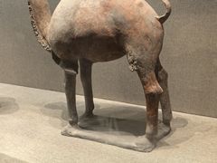 -敦煌市博物馆