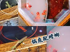 -陈府大宅门成都火锅·手切鲜肉(太原街店)