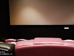 -英皇电影城(英皇集团中心IMAX店)