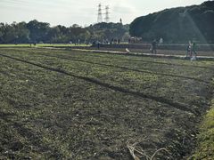 -八卦田遗址公园