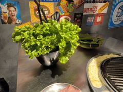 -猪掌柜韩国烤肉(六折店)
