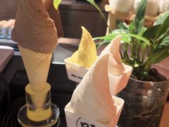 -野人先生现做冰淇淋(北京王府井东方新天地店)