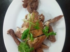 双凤爊鸡-老中和羊肉馆