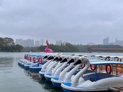 -食膳公园包子铺(烈士公园店)