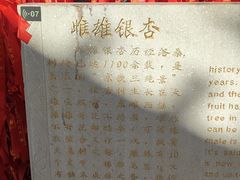 -红螺寺