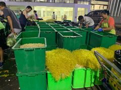 -三亚新鸿港水果一级批发市场