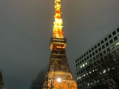 -东京塔海贼王主题公园