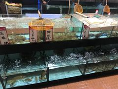 水产区-仑头海鲜城(仑头环村南路店)
