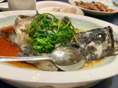 石斑鱼-琼菜王(南海店)