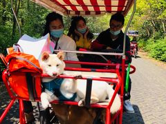 -上海长兴岛郊野公园