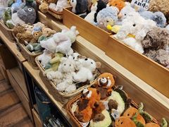 -猫的天空之城概念书店(苏州平江店)