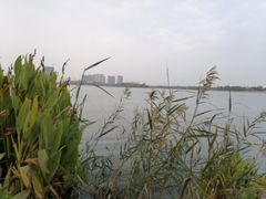 -桐乡凤凰湖