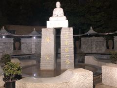 -张家港金凤凰度假村温泉