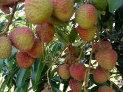 -富隆酒窖(天河北店)