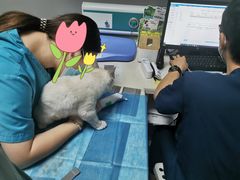 -关爱宠物医院·猫科中心·消化科(滨湖万达分院)