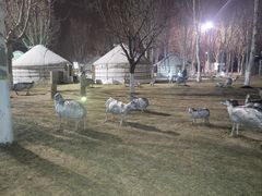 -九十九顶毡房(阜石路店)