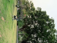 -景田北六街公园宠物主题园
