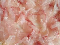 -活鱼馆(宜兴埠店)