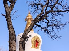 -护国法轮寺