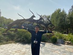 -武清南湖绿博园