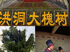 -大槐树寻根祭祖园