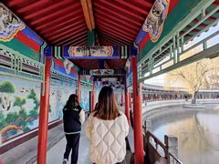 -东方巨龟苑景区