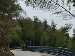 -长沙黑麋峰国家森林公园