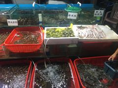 -都斛海鲜街