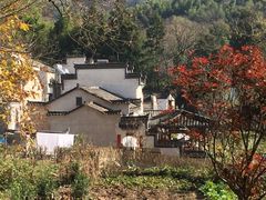 -塔川景区