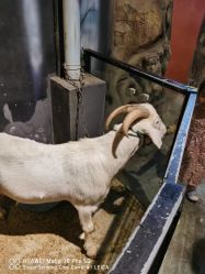 -酷嗒动物文化乐园(cutezoo西溪乐天城店)