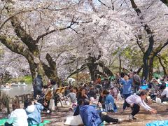 -井之头恩赐公园