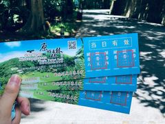 -西双版纳原始森林公园