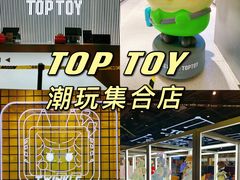 -TOP TOY(新南凯德广场店)